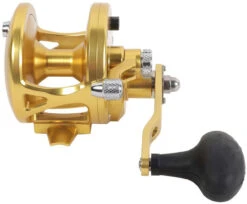 Avet JX 6.0 G2 1 Speed Reel - Gold (No Glide Plate) -Fishing Equipment Store avet jx 6 0 g2 rh gd ngp reel 27109.1670274062