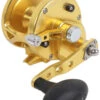 Avet JX 6.0 G2 1 Speed Reel - Gold (No Glide Plate) 2 Avet JX 6.0 G2 1 Speed Reel - Gold (No Glide Plate) -Fishing Equipment Store avet jx 6 0 g2 rh gd ngp reel 91437.1670274062