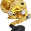 Avet LX 4.6 G2 1 Speed Reel - Gold (No Glide Plate) -Fishing Equipment Store avet lx 4 6 g2 rh gd ngp reel 76880.1651417649
