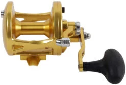 Avet LX 4.6 G2 1 Speed Reel - Gold (No Glide Plate) -Fishing Equipment Store avet lx 4 6 g2 rh gd ngp reel 92219.1651417650