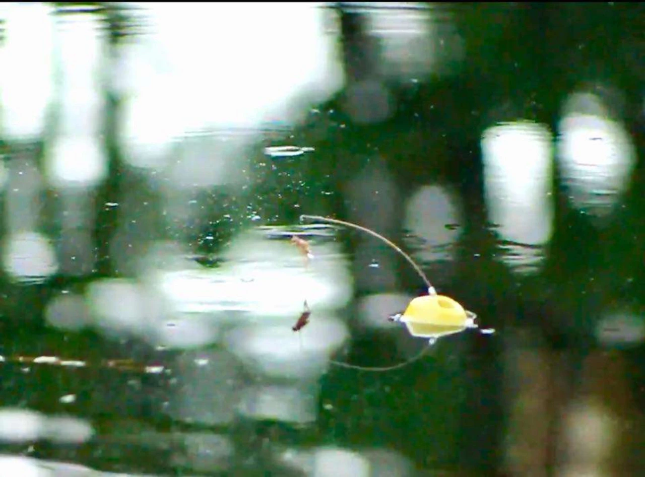 CM Strike Topwater Fishing System 7 CM Strike Topwater Fishing System - Image 5