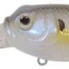 Duckett Fishing BD Sculpo DR Crankbait - Lavender Shad 2 Duckett Fishing BD Sculpo DR Crankbait - Lavender Shad -Fishing Equipment Store duckett fishing mxsdr ls bd sculpo dr crankbait 53545.1651410915.386.513