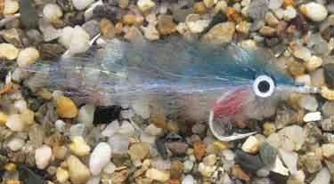 Enrico Puglisi Peanut Butter Blueback Herring Saltwater Fly 3 Enrico Puglisi Peanut Butter Blueback Herring Saltwater Fly