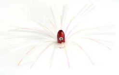 Fish Finder Tackle FF2BH Joe Shute Big Hole Skirts 7 Fish Finder Tackle FF2BH Joe Shute Big Hole Skirts -Fishing Equipment Store fish finder tackle ff2bh joe shute big hole skirts 22047.1650992438