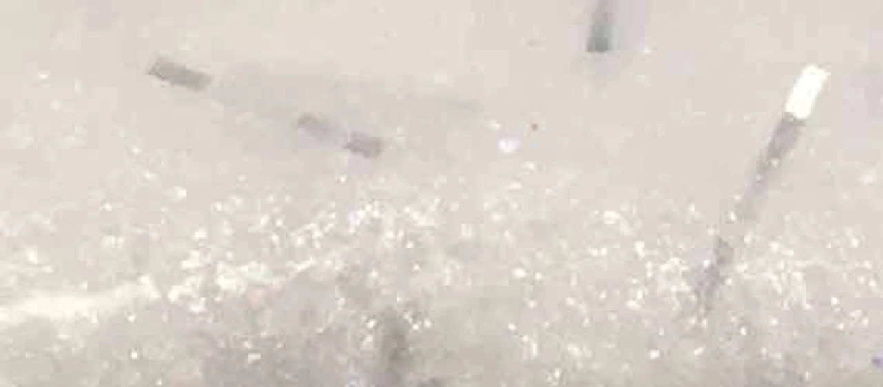 Fishbites Fight Club Fightin Shrimp - Haymaker 4 Fishbites Fight Club Fightin Shrimp - Haymaker - Image 2