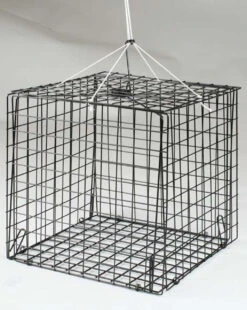 FJ Neil Assorted Shape Traps