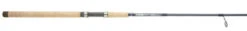 G.LOOMIS G-Loomis Salmon Series Spinning Rods
