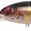 Megabass Deep-Six Crankbait -Fishing Equipment Store megabass deep six crankbait 55135.1650936658
