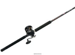 Penn Warfare Level Wind Combos 7 Penn Warfare Level Wind Combos -Fishing Equipment Store penn warfare level wind combos 13259.1650815140