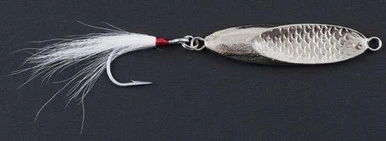 Point Jude Lures Sea Scallop 3 Point Jude Lures Sea Scallop