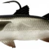 Savage Gear Pulse Tail Mullet RTF Swimbaits 1 Savage Gear Pulse Tail Mullet RTF Swimbaits -Fishing Equipment Store savage gear pulse tail mullet rtf swimbaits 05776.1651281969