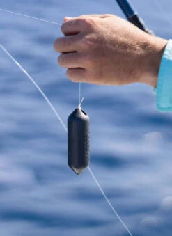 Sharkbanz Fishing Zeppelin -Fishing Equipment Store sharkbanz sbf 0zep zeppelin 28992.1651418536