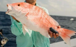 Sharkbanz Fishing Zeppelin -Fishing Equipment Store sharkbanz sbf 0zep zeppelin 76776.1651418536