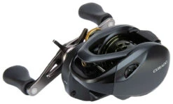 Shimano Curado BFS Baitcasting Reels -Fishing Equipment Store shimano curado bfs baitcasting reels 28728.1651408983