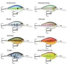 Storm ADP10 Arashi Deep Rattling Lure 6 Storm ADP10 Arashi Deep Rattling Lure -Fishing Equipment Store storm adp10 arashi rattling deep lure 17960.1651320487