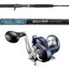 TackleDirect TDSCJ661MH Silver Hook/Shimano TOR14HGA Torium Combo -Fishing Equipment Store tackledirect tdscj661mh silver hook shimano tor14hga torium combo 14677.1651414842.386.513